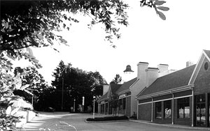 Chestnut Village